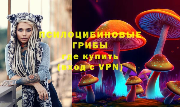 спиды Алзамай