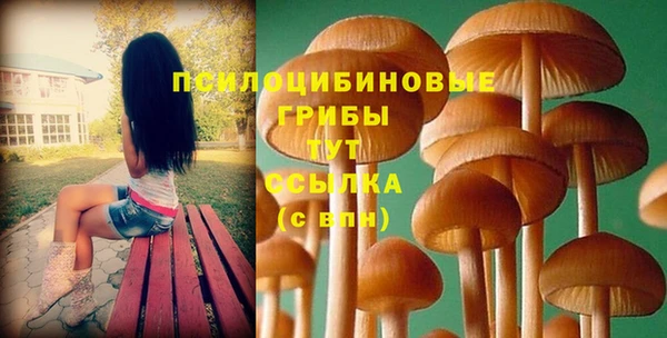 шишки Протвино