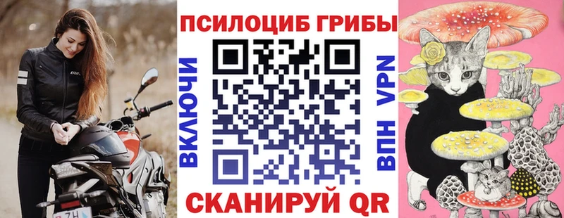 Псилоцибиновые грибы мицелий Балахна